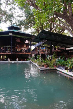 Tropical Hostel